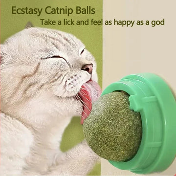 FelineFun™ Catnip Ball In Self Adhesive Holder